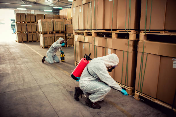 Best Pest Control Treatment  in Stagecoach, NV