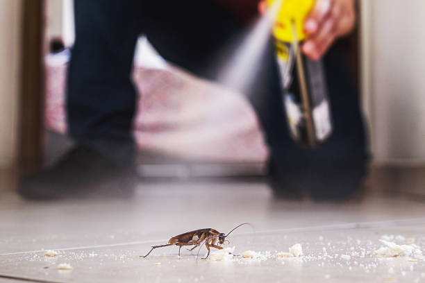 Best Mosquito Control Services  in Stagecoach, NV